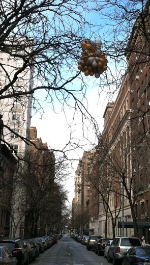 MORNING BULLETIN: A HEARTY HUMMINGBIRD, LOCKER ROOM SHENANIGANS