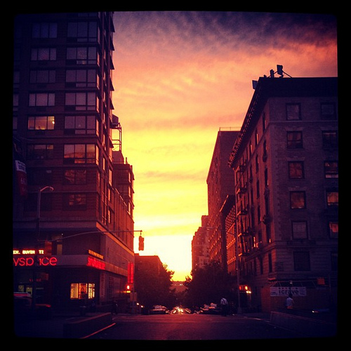 MORNING BULLETIN: DOG HIT-AND-RUN, MORE SHELTER CONCERNS, VIBRATOR GIVEAWAY