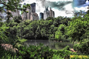 central park trees