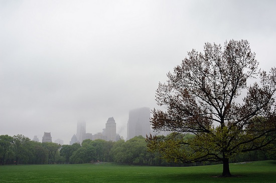 OUR PICNIC IS POSTPONED ON ACCOUNT OF RAIN…BUT WE’VE STILL GOT A PLAN TO CELEBRATE ON SATURDAY