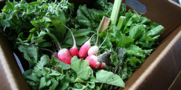 10 CSAs ON THE UPPER WEST SIDE WHERE YOU CAN GET FRESH FOOD FROM LOCAL FARMS