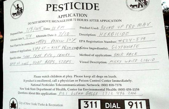 CITY TO SPRAY CONTROVERSIAL PESTICIDE IN RIVERSIDE PARK