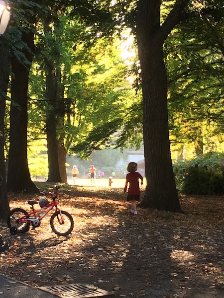 PLANTS ARE FREAKING OUT IN THIS BALMY WEATHER; 75 DEGREES IN NOVEMBER?