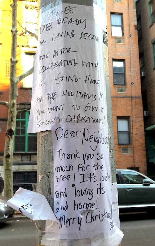 ONE CHRISTMAS TREE BRINGS JOY TO TWO HOMES