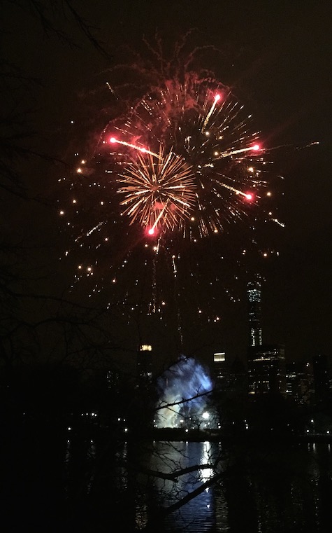 fireworks 2016-3