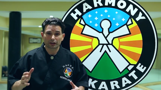 harmony by karate2
