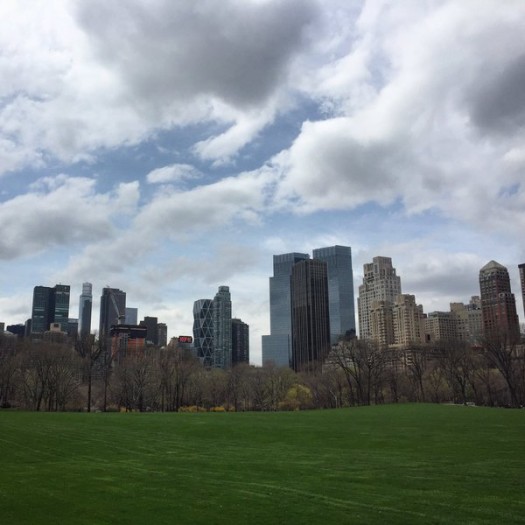 central park shhep meadow