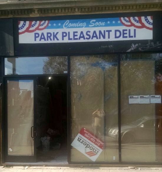 OPENINGS & CLOSINGS RICKY'S, CAFE BEE, PARK PLEASANT DELI, HUDSON