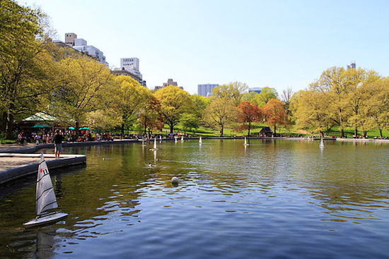 BODY FOUND IN CENTRAL PARK’S CONSERVATORY (SAILBOAT) POND – West Side Rag