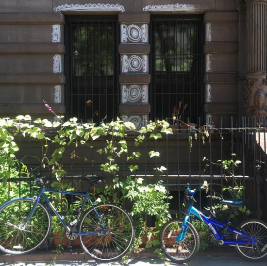 MORNING BULLETIN: HOUSING PROJECT IN DISREPAIR, JING FONG GETS WINNING ENDORSEMENT