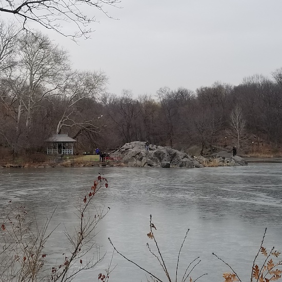 Morning Bulletin: Cat Saved from Car Engine, Wrongful Conviction, Tasty Taiwanese Food