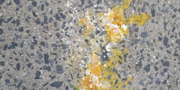 Photo of the Week: Egg Fries on the Pavement