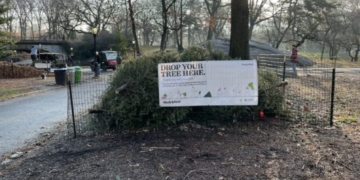 How to Recycle Your Christmas Tree — And Even Get a Bag of Mulch