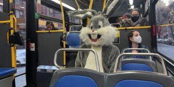 Photo of the Day: No One Seems to Care What’s Up, Doc?