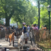 The Goats Arrived in Riverside Park on Wednesday Just in Time For Lunch! 