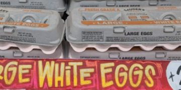 Frugal Frannie Finds Huge Price Differences at UWS Supermarkets