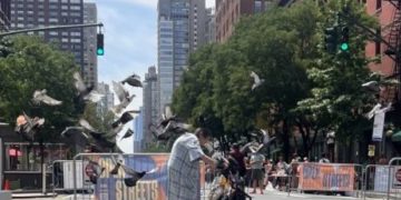 COVID Rates Across the Neighborhood