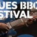 Come to Blues BBQ Festival This Saturday, August 13, in a New Location — Pier 76
