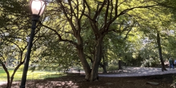 Monday Bulletin: To Post or Not to Post?