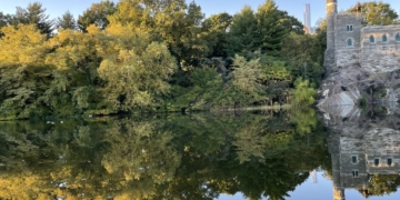 Body Found in Turtle Pond in Central Park; No Foul Play Suspected