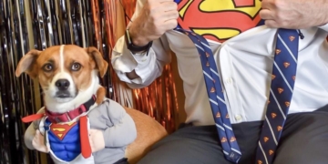 Halloween Is Not Just For Humans