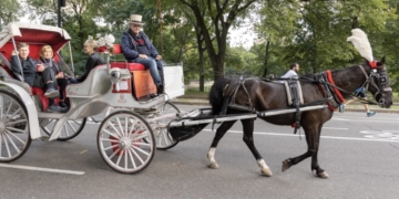 Asking Upper West Siders: Horse-Drawn Carriages