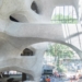 Opening Date of AMNH Gilder Center Set for February 17, 2023