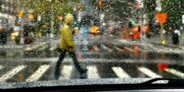 Monday Bulletin: Vital and Free Health Services; School Admissions Reversal; Chess Cheat