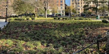 Northwest Section of Teddy Roosevelt Park Reopens Monday; Donuts Until 11am