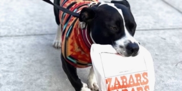 Pupper West Side: Birthday Boy, Tanq, Will Celebrate with Long Walks, Zabar’s Smoked Salmon, and a Squirrel Cake