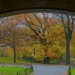 Photos: Central Park in December