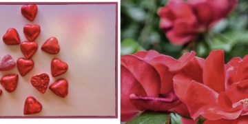 The Calendar Months Project: ‘Puffed Up February’