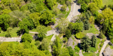 Take the Central Park Drives Survey