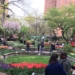 West Side Community Garden’s Annual Tulip Festival Will Be Blooming (Around) April 15 Through May 6