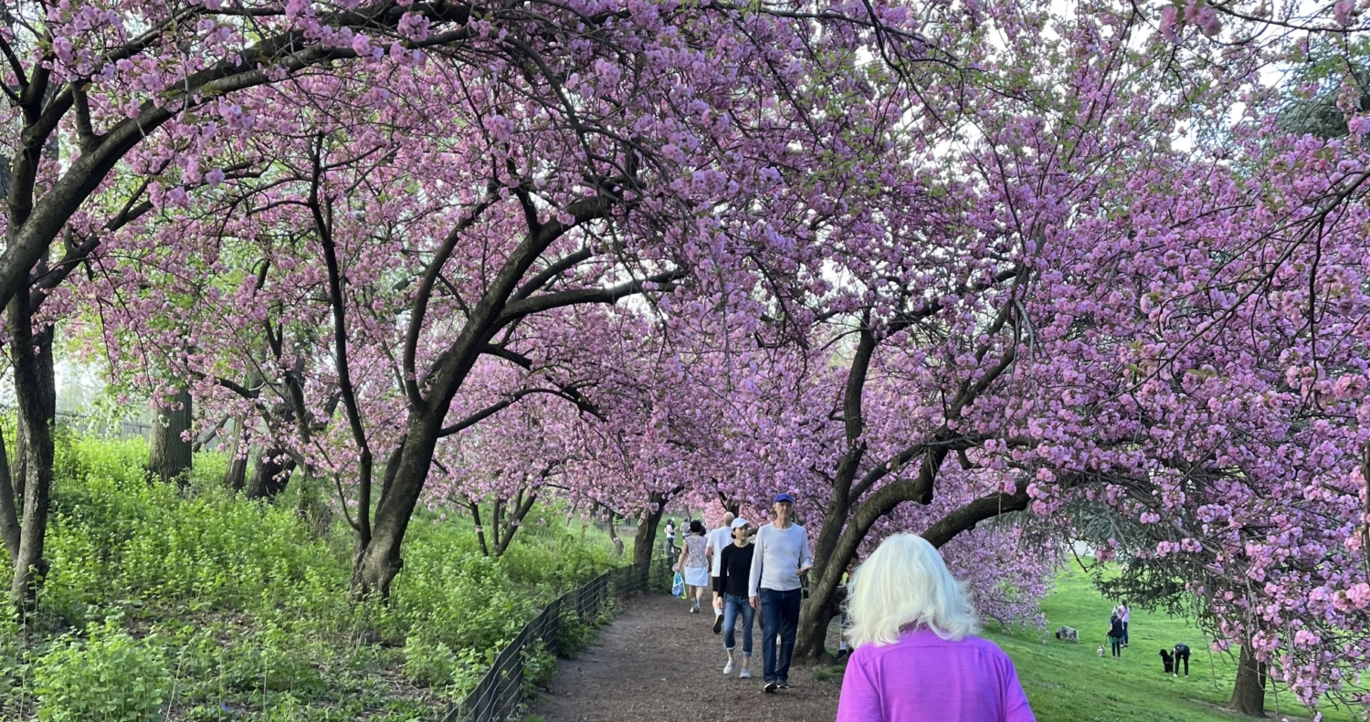 Central Park's Showstopper Closes for the Season