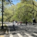 The Central Park Drive Has Major Traffic Issues — and Here Come Legal E-Vehicles