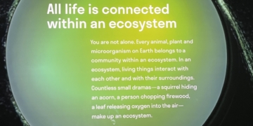 A Sneak Preview of the Richard Gilder Center for Science, Education, and Innovation at the American Museum of Natural History