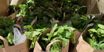 Program Offers Bags of Fresh Produce to Seniors at Wholesale Prices