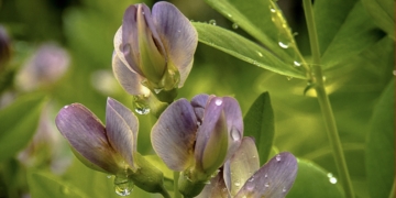 UPDATED Monday Bulletin: Hey Feds, Can You Spare a Billion? Top Business Leaders Amplify Ask