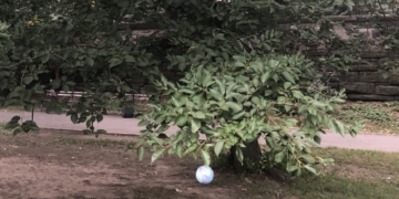 Photo of the Day: The Earth Getting Some Shade