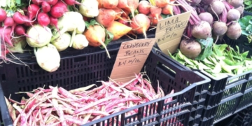 Greenmarkets Benefit Local Residents and Farmers