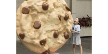 ‘Friday Was National Chocolate Chip Cookie Day!’
