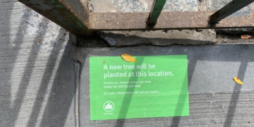 Nearly 400 Trees To Be Planted on UWS This Spring 