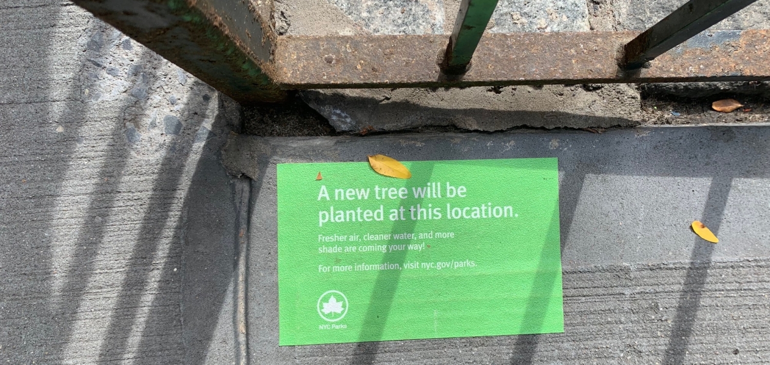 Nearly 400 Trees To Be Planted on UWS This Spring