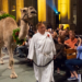 Beloved Procession of Animals and Blessing of Pets Returns to UWS Cathedral On October 1