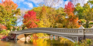 Marlene Meyerson JCC Manhattan Offers a Season of Connections for Older Adults