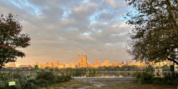 Monday Bulletin: Best Place to Eat Alone; Dead Fish on the Move; Local Joins War in Israel; Change in Shelter System For Migrant Families