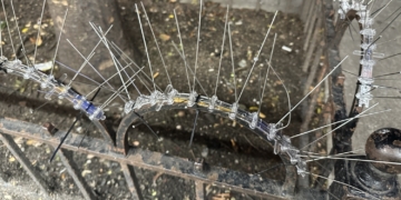 UPDATED: Spikes Surrounding UWS Tree Bed No Halloween Prank, REMOVED!