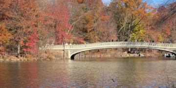 Bow Bridge in Central Park Shutters for Repairs Until January: What to Know