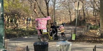 Police Crack Down on Pedicabs; Dozens Seized and ‘Con’ Revealed